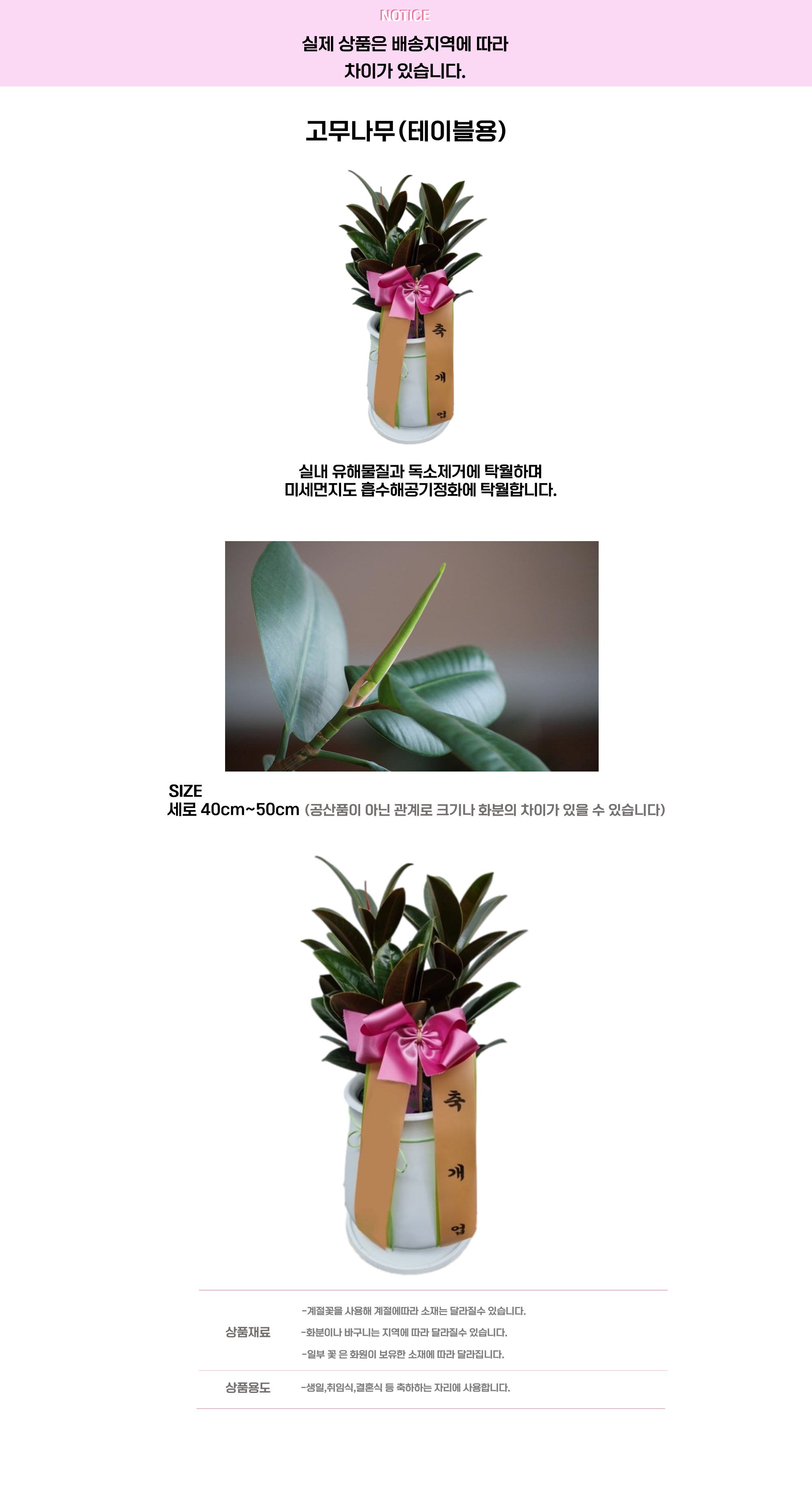 고무나무 테이블.png cf2a8adc2f1dc52bb01887b2df88b5ef_1663641251_7192.png