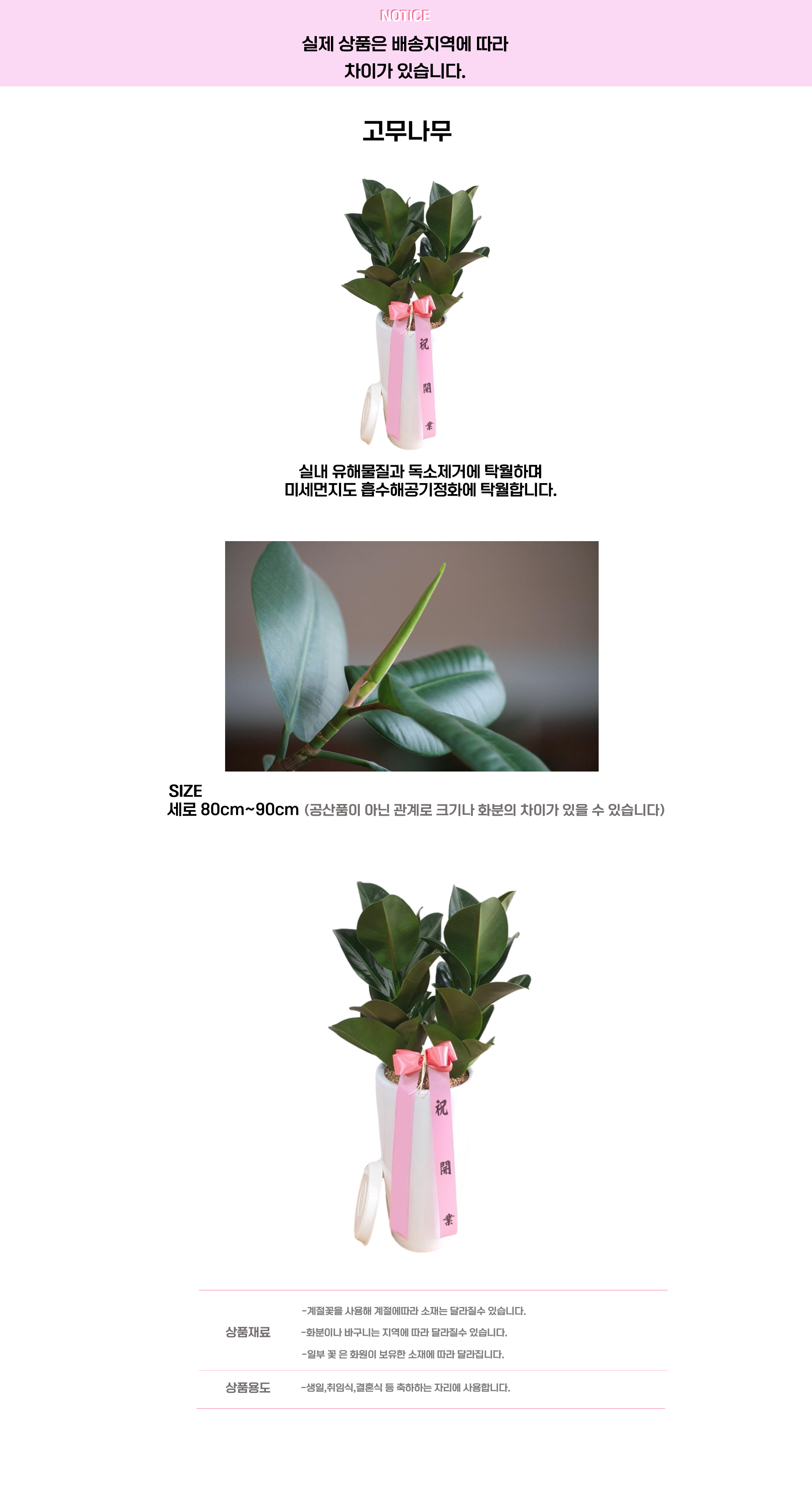 고무나무.png cf2a8adc2f1dc52bb01887b2df88b5ef_1663641352_8565.png