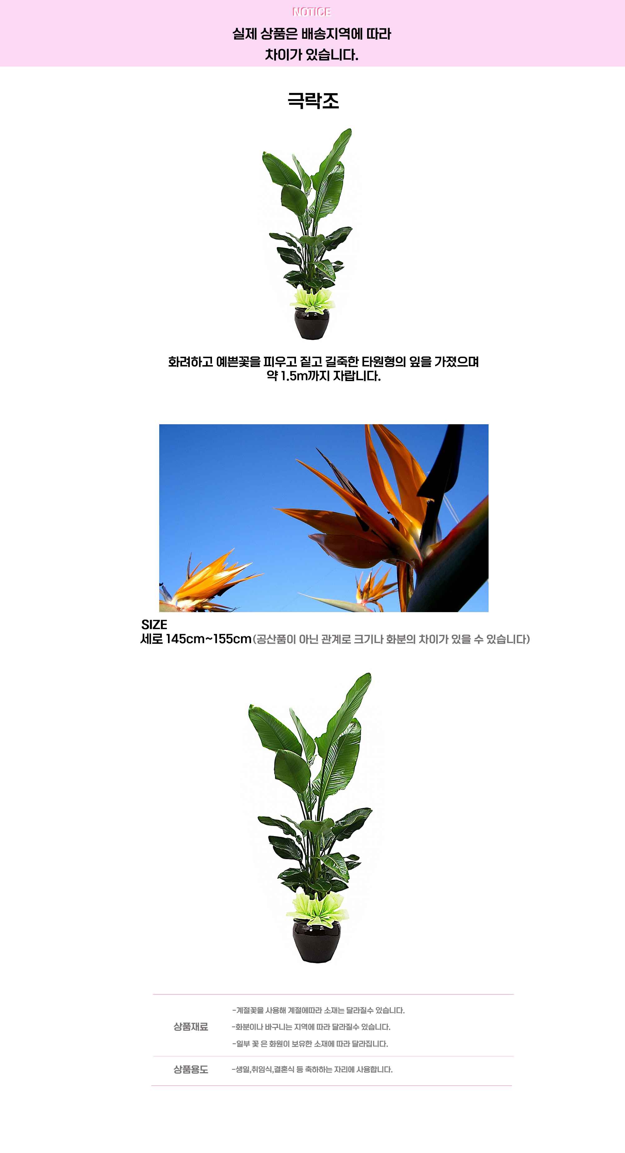 극락조.png cf2a8adc2f1dc52bb01887b2df88b5ef_1663642742_5211.png