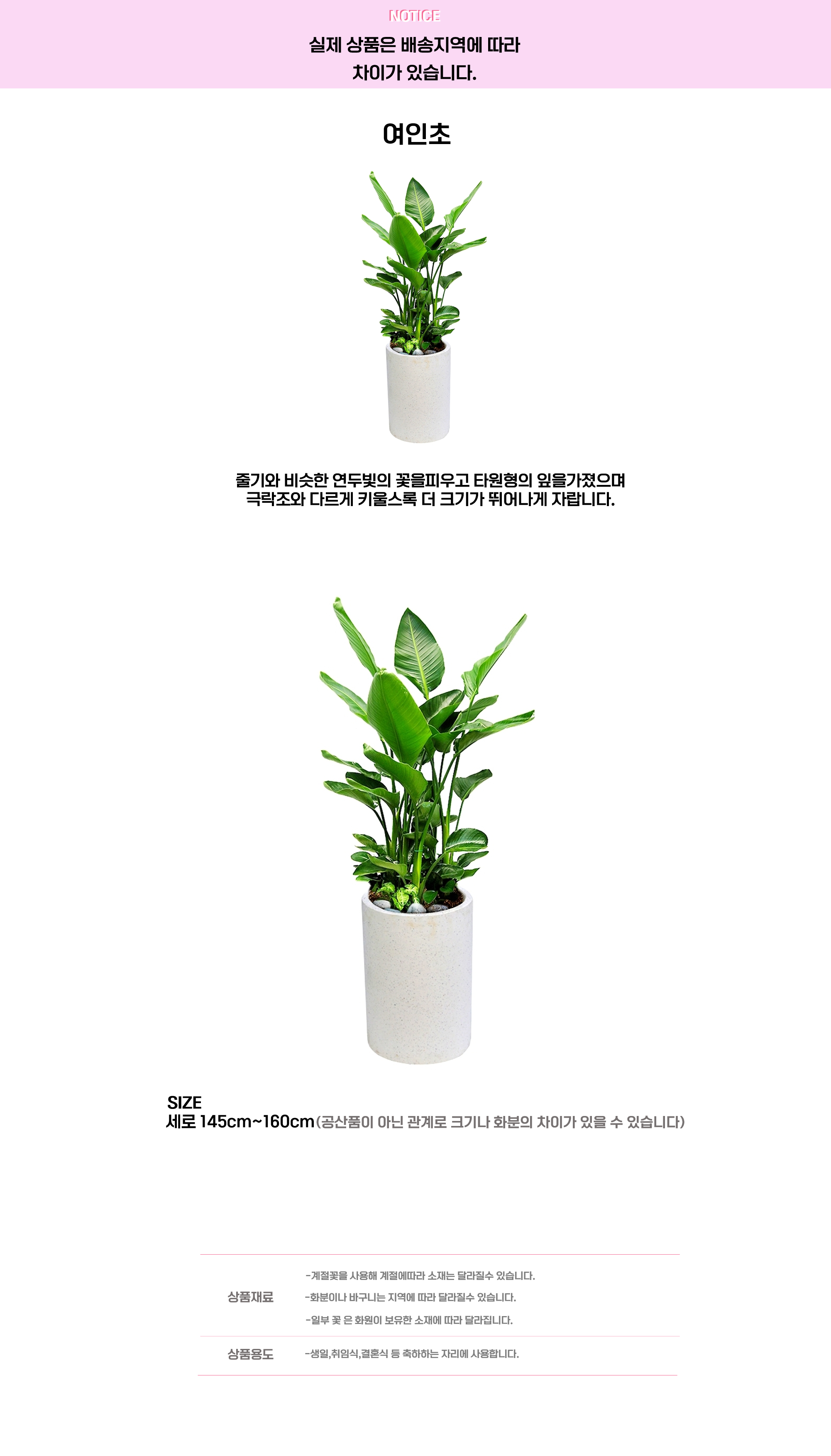 여인초.png cf2a8adc2f1dc52bb01887b2df88b5ef_1663642933_2833.png