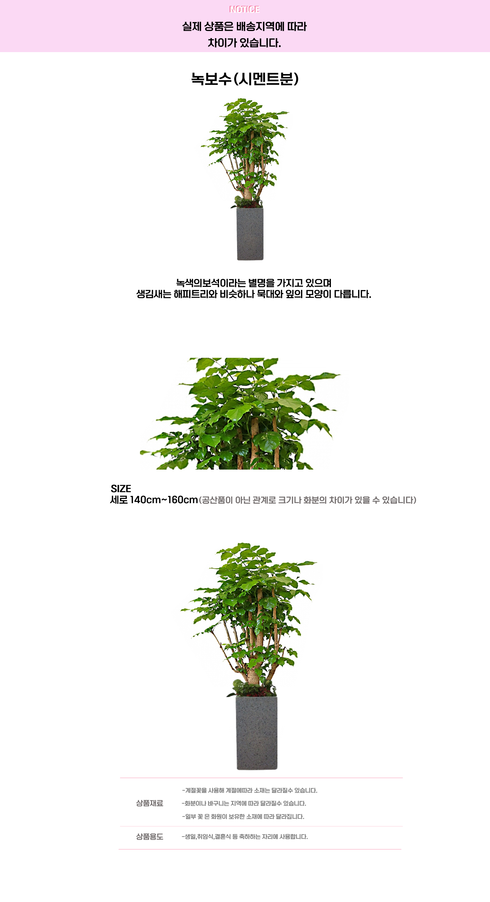 녹보수 시멘트.png cf2a8adc2f1dc52bb01887b2df88b5ef_1663646407_7634.png