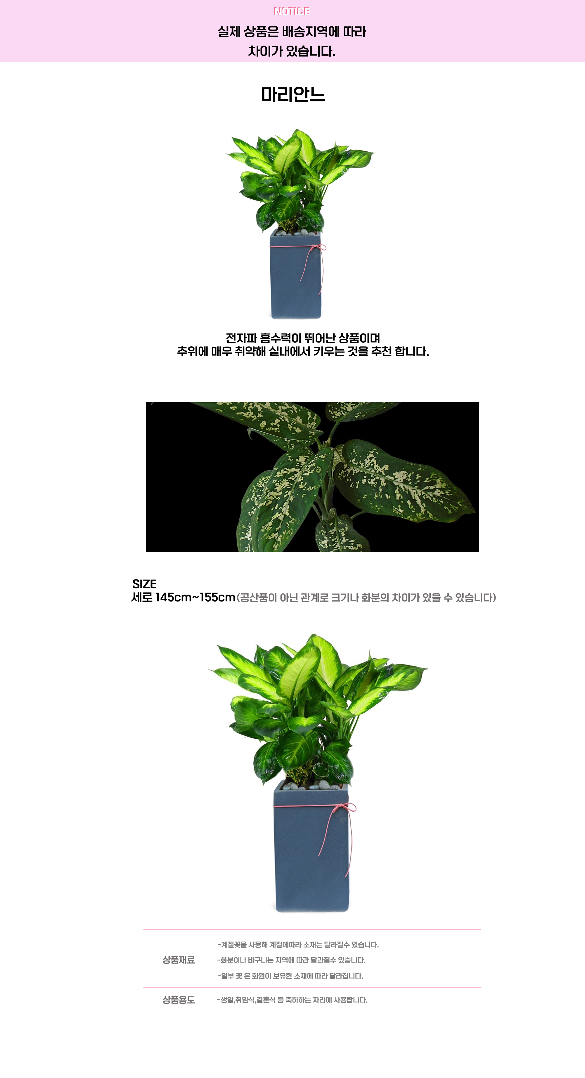 마리안느.png cf2a8adc2f1dc52bb01887b2df88b5ef_1663646755_7012.png