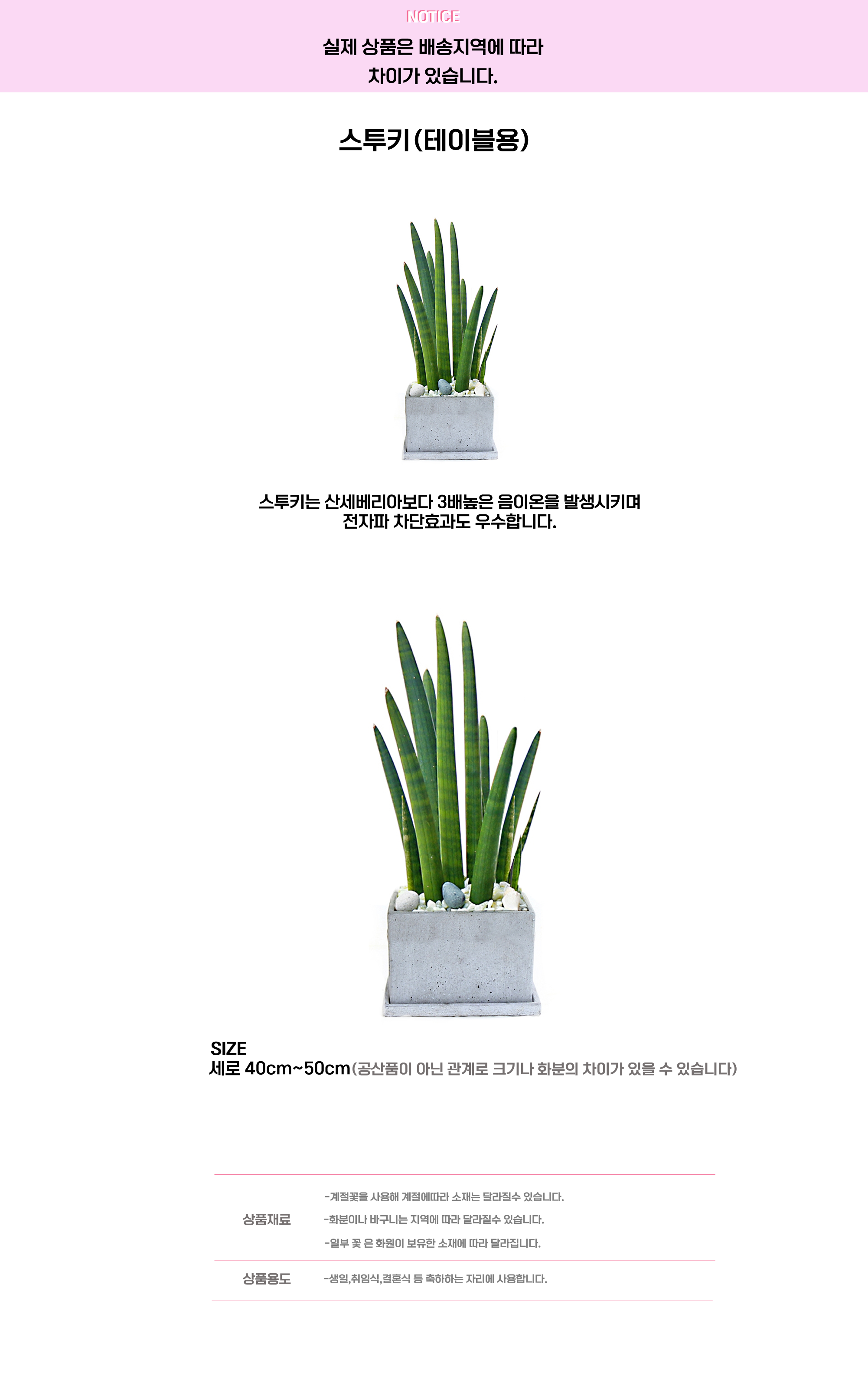 스투키.png cf2a8adc2f1dc52bb01887b2df88b5ef_1663647137_9128.png