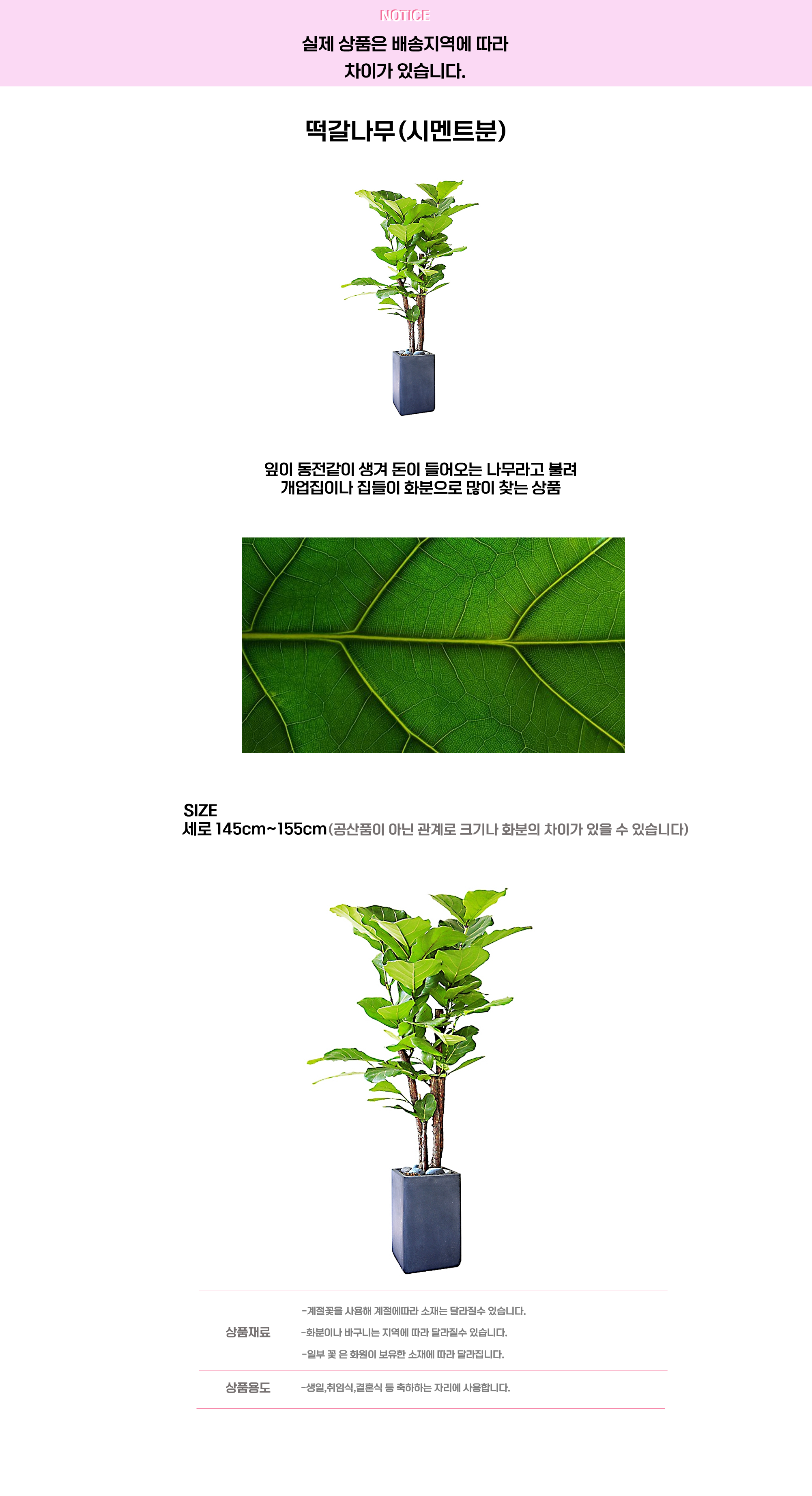 떡갈나무 시멘트.png cf2a8adc2f1dc52bb01887b2df88b5ef_1663647352_6054.png