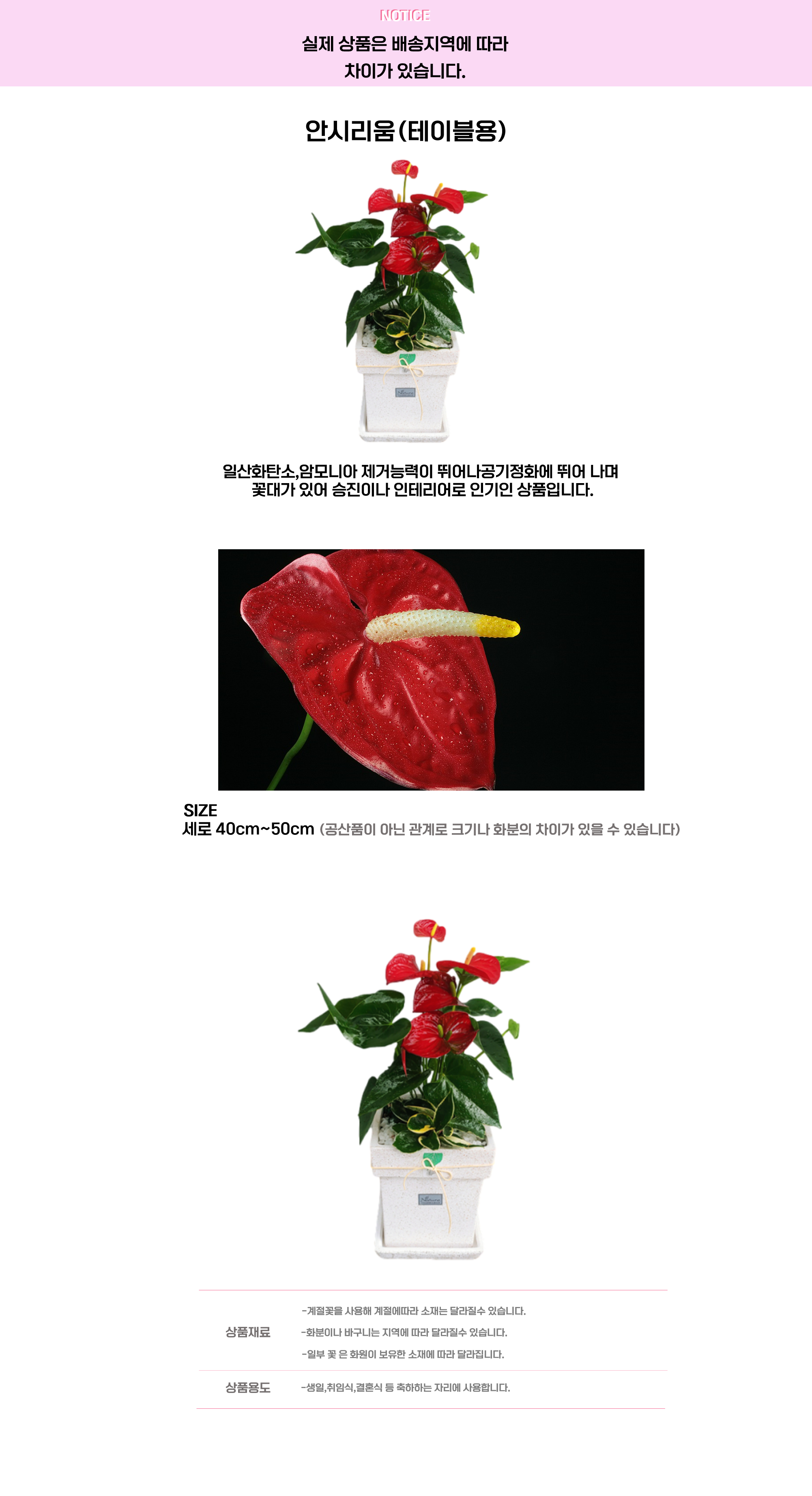 안시리움 테이블.png cf2a8adc2f1dc52bb01887b2df88b5ef_1663647602_1313.png