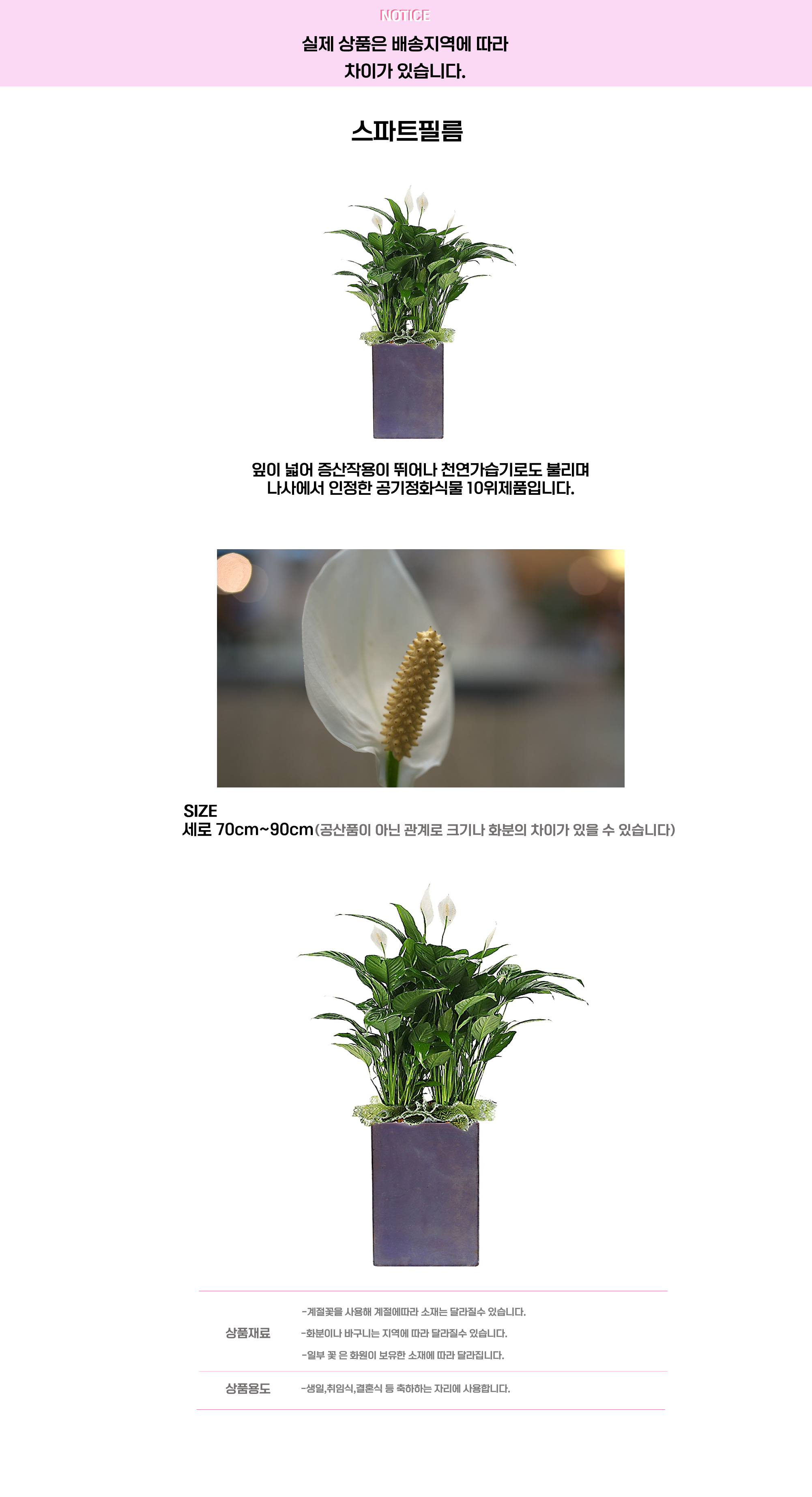 스파트필름.png cf2a8adc2f1dc52bb01887b2df88b5ef_1663648072_3161.png