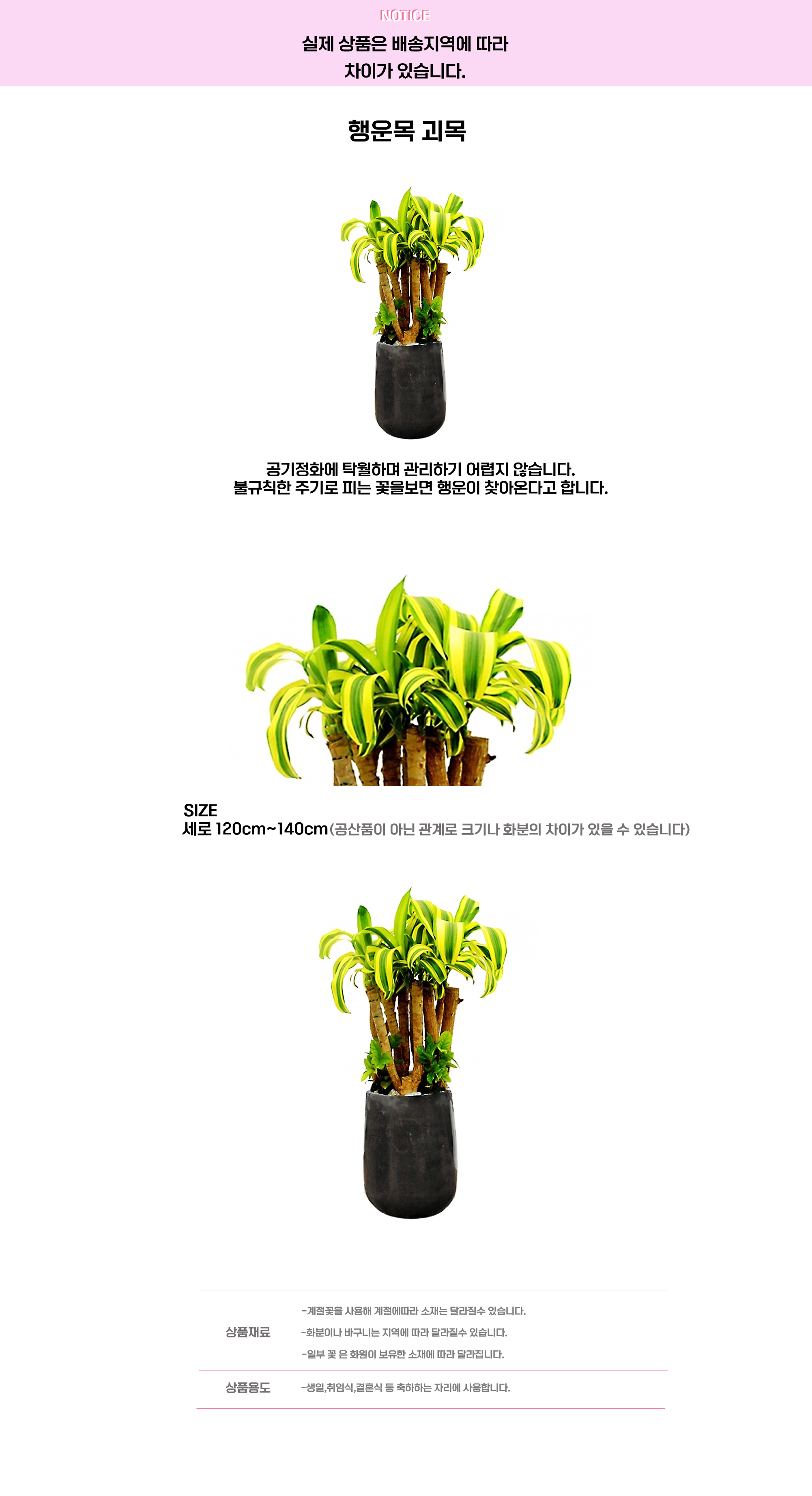 헹운목 괴목.png cf2a8adc2f1dc52bb01887b2df88b5ef_1663650391_6342.png